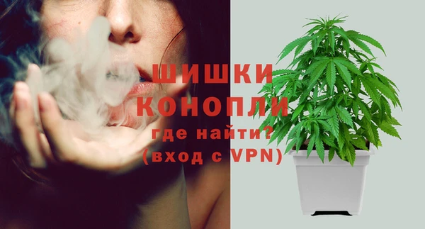 spice Верея