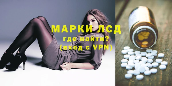 spice Верея