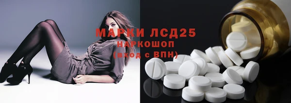 spice Верея