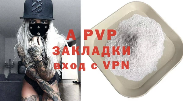 spice Верея