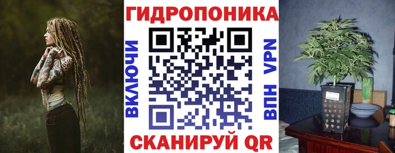 Марихуана марихуана  MEGA сайт  Колпашево  сколько стоит 